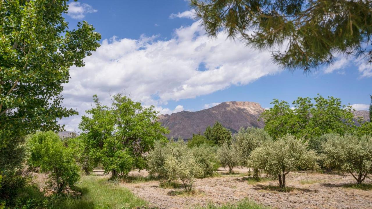 Cortijo El Alamo 1 Velez Blanco By Ruralidaysヴィラ エクステリア 写真